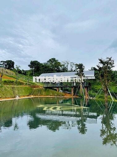 Lô cặp liền kề 406m2 ngang 12m2 sẵn hạ tầng đẹp đường nhựa8m sổ hồng