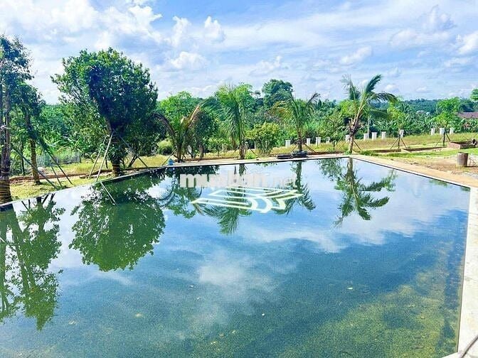Lô cặp liền kề 406m2 ngang 12m2 sẵn hạ tầng đẹp đường nhựa8m sổ hồng