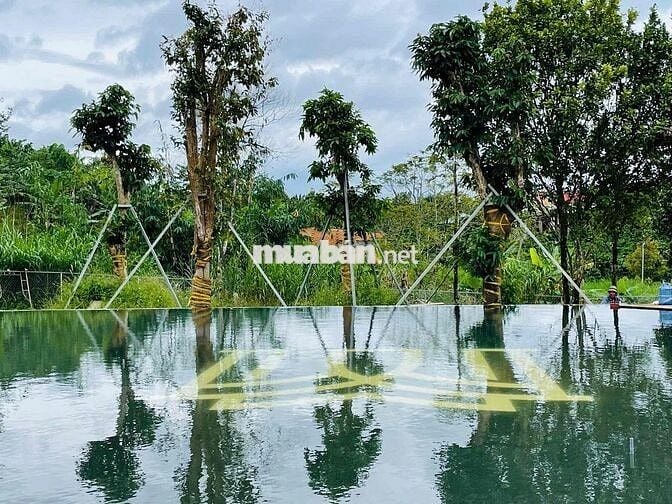 Lô cặp liền kề 406m2 ngang 12m2 sẵn hạ tầng đẹp đường nhựa8m sổ hồng