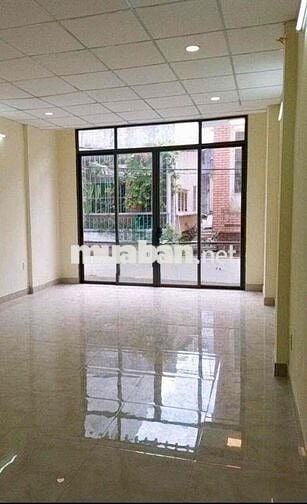 Cho thuê nhà hxh Nguyễn Trọng Tuyển - 4.5*10m - p15, Phú Nhuận