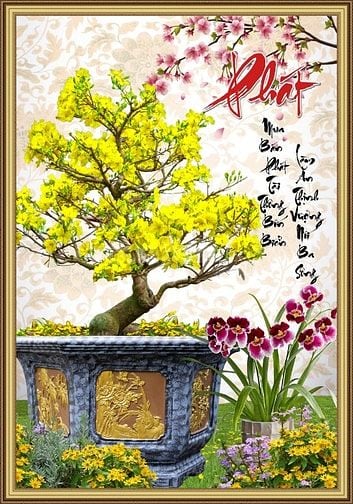 tranh gạch 3d tranh hoa mai - SCX644