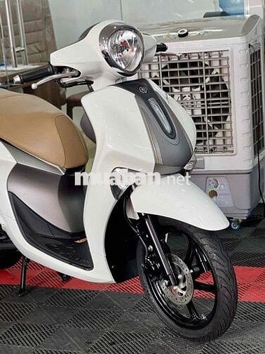 💥Janus đời 2024 BSTP Siêu Lướt xe cọp💥