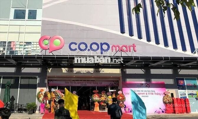 Đất thổ cư 115m2 đường Liêu Bình Hương, Tân Thông Hội giá 850tr, SHR