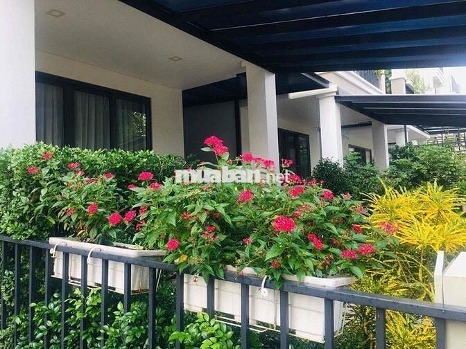 Chính chủ Cho thuê biệt thự hoàn thiện Ninesouth nhà mới đẹp