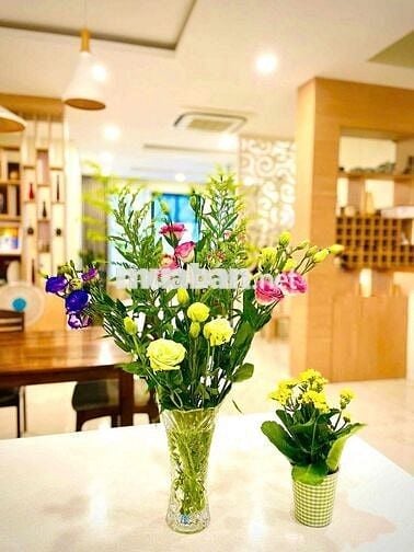 Chính chủ Cho thuê biệt thự hoàn thiện Ninesouth nhà mới đẹp