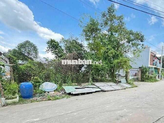 BÁN ĐẤT [ TÂN VĨNH HIỆP, TÂN UYÊN ] - 1746m² ( ngang 35.5m)