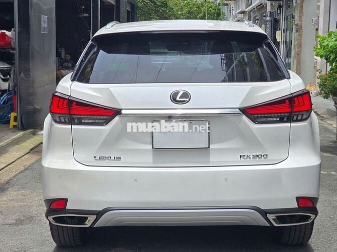 Lexus RX 2022 300 - 29000 km