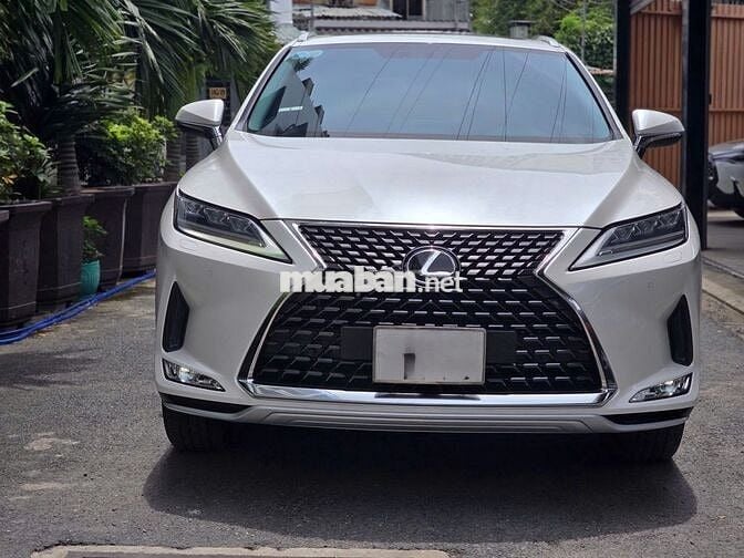 Lexus RX 2022 300 - 29000 km