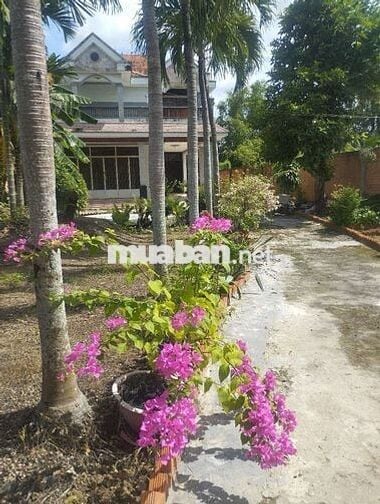 Cho thuê lâu dài biệt thự 1200m2 ở cạnh xã Tân Lý Tây cũ