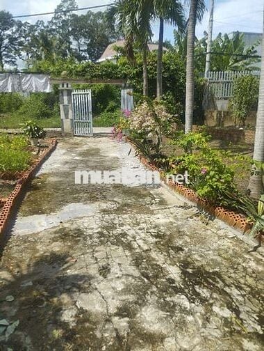 Cho thuê lâu dài biệt thự 1200m2 ở cạnh xã Tân Lý Tây cũ