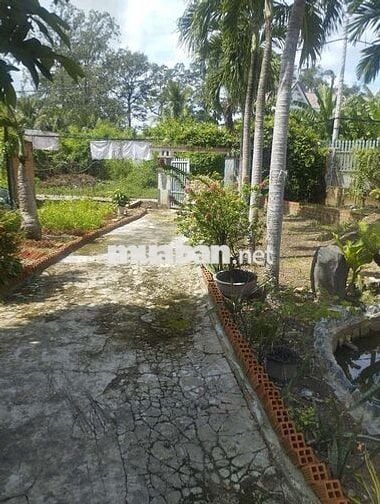 Cho thuê lâu dài biệt thự 1200m2 ở cạnh xã Tân Lý Tây cũ