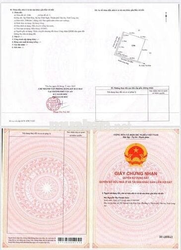 ĐẤT MẶT TIỀN Đường Châu Thị Kim, Xã An Vĩnh Ngãi, TP Tân An, Long An