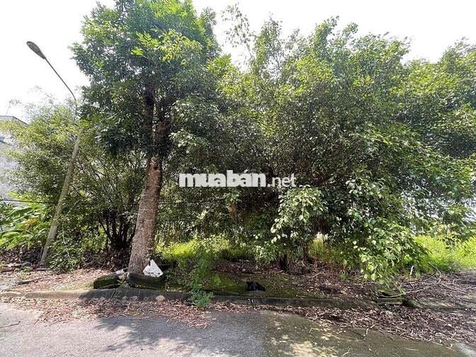 ❌❌Nền đường số 13 KDC Đại Dương P6 - DT: 5x20m=100m2 💰💰 1 tỷ 9