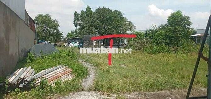 🙋‍♂️CHỦ CẦN BÁN ĐẤT 597M² ĐÃ THỔ CƯ ĐƯỜNG NHỰA THÔNG XE TẢI GIÁ TỐT