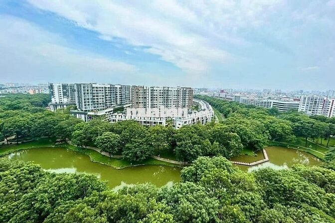 🌷 Full Rổ Hàng Thuê Celadon City, 1PN-2PN-3PN Các Phân Khu. Giá Tốt  🌷