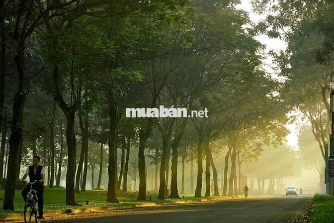 🌷 Full Rổ Hàng Thuê Celadon City, 1PN-2PN-3PN Các Phân Khu. Giá Tốt  🌷