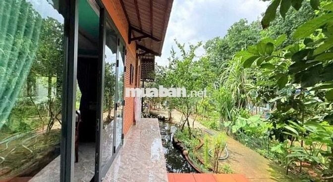 505m2(100m thổ cư) SHR công chứng ngay