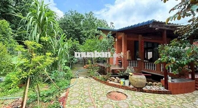 505m2(100m thổ cư) SHR công chứng ngay