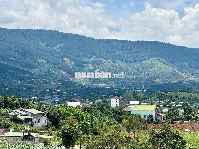 Đất xã Nam Ban cách Đường Điện Biên Phủ 500m sẵn thổ cư