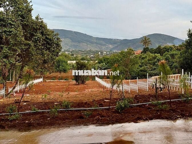 Đất xã Nam Ban cách Đường Điện Biên Phủ 500m sẵn thổ cư