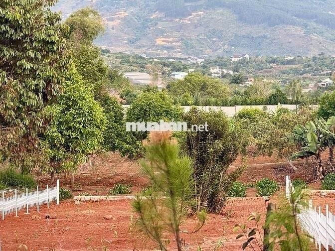 Đất xã Nam Ban cách Đường Điện Biên Phủ 500m sẵn thổ cư