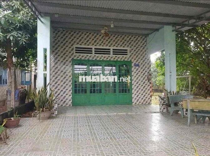 💥 NHÀ VƯỜNG CHƠN THÀNH – SỔ RIÊNG – GIÁ CHỈ 4XX💥