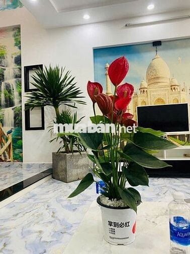 NHÀ MT NGỌC HỒI - HÒA MINH LIÊN CHIỂU