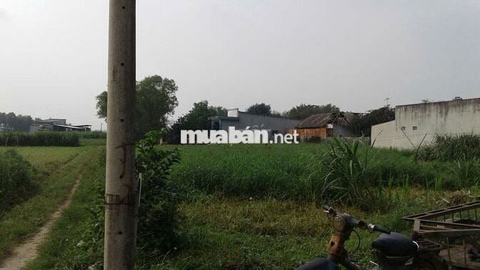 BÁN ĐẤT XÂY KHO XƯỞNG - MẶT TIỀN HUỲNH MINH MƯƠNG