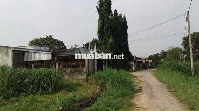 BÁN ĐẤT XÂY KHO XƯỞNG - MẶT TIỀN HUỲNH MINH MƯƠNG