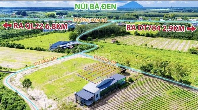 BẠN ĐANG TÌM LÔ ĐẤT TIỀM NĂNG X2 GIÁ TẠI GÒ DẦU TRONG THỜI GIAN TỚI