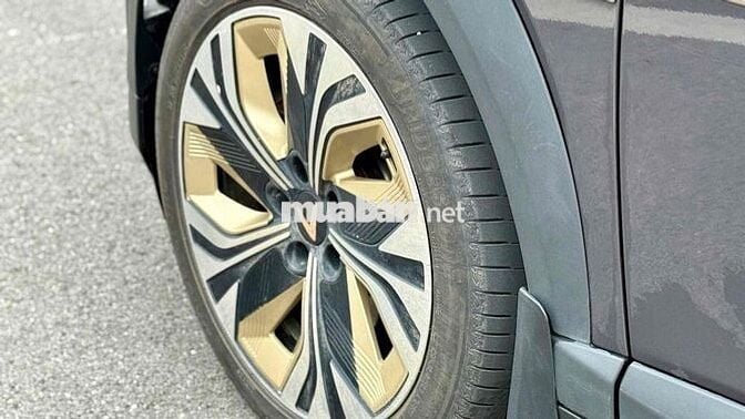 VinFast VF6 2024 Plus - 29000 km