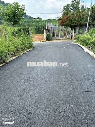 XÃ LONG ĐIỀN - TP HCM ( xã Tam Phước - BRVT cũ )
📐 Diện tích 5x32