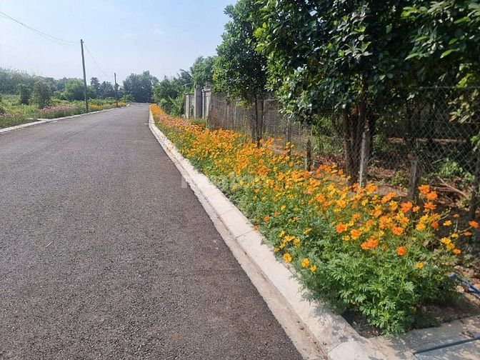 Bán đất 3 MT Nhị Bình 10 Hóc Môn