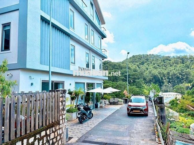 Lô đất 252m2 thổ cư view rừng thông cực đẹp Hoàng Hoa Thám 7,9 Tỷ
