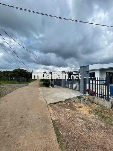 1251m2 ( Đất Sào) có 80m2 Thổ Cư