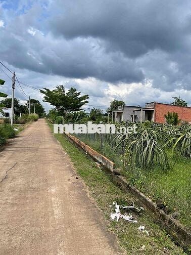 1251m2 ( Đất Sào) có 80m2 Thổ Cư