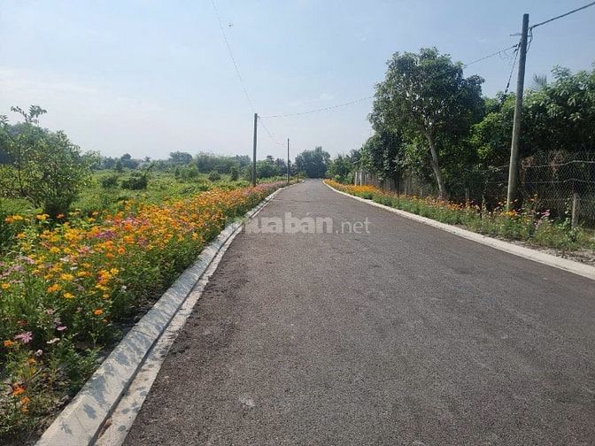 Bán đất 3 MT Nhị Bình 10 Hóc Môn