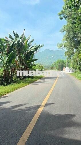 Bán đất tại Thị trấn Phước Hải, View núi Minh Đạm giá 2,05 tỷ, 255m2