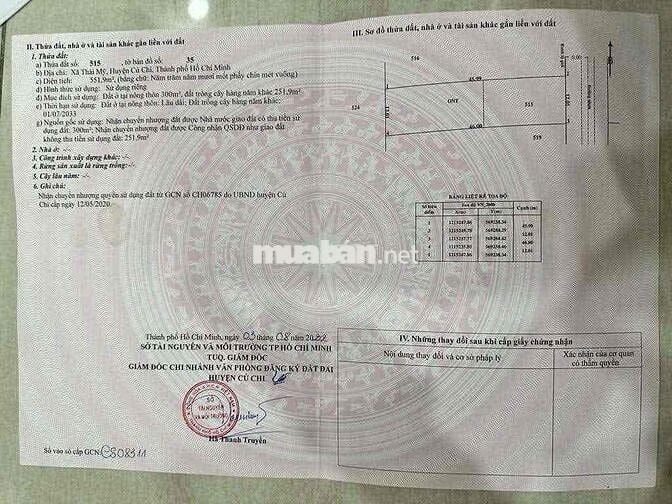 🔥 NGỘP THỞ CHỦ GỬI BÁN GẤP – LÔ ĐẤT SIÊU ĐẸP, XÃ THÁI MỸ, CỦ CHI 🔥