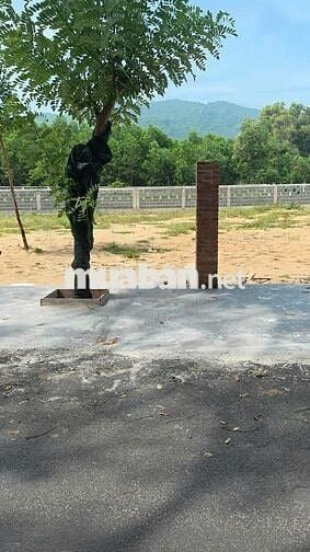 Bán đất tại Thị trấn Phước Hải, View núi Minh Đạm giá 2,05 tỷ, 255m2