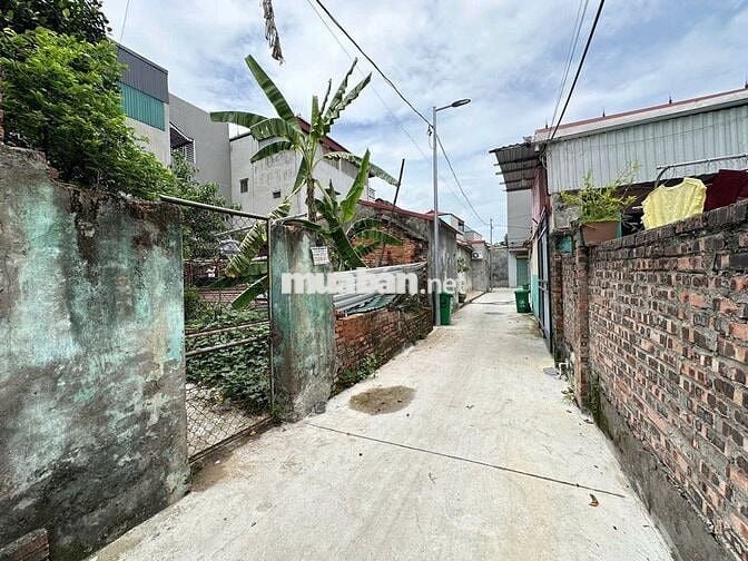 Bán đất tổ 3, Quang Minh, Mê Linh. Đường thông, oto vào đất. Gần KCN