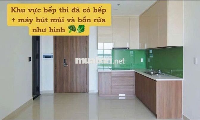 Cho thuê căn hộ 1PN tại Q7 RIVERSIDE
