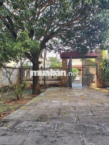 Cho thuê biệt thự mini gần Nguyễn Du,trường học cấp 1.2.3 Dĩ An