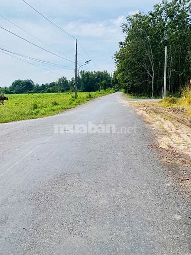 Đất thổ cư, sổ sẵn, đường thông. Ngay KCN Phước Đông. 310tr 