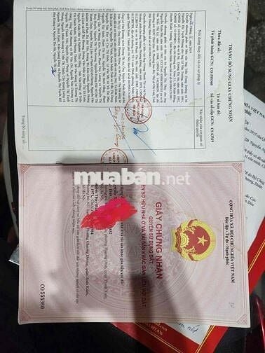 Bán CCMN 3ngủ 2wc Sổ Hồng Từng Căn- Giáp Nhất, Bán CCMN 3ngủ 2wc Sổ Hồng Từng Căn- Giáp Nhất,