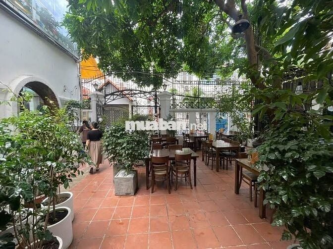 🏠 BIỆT THỬ NGANG 8M SÂN VƯỜN SIÊU RỘNG CẠNH HÀ ĐÔ – QUẬN 10
