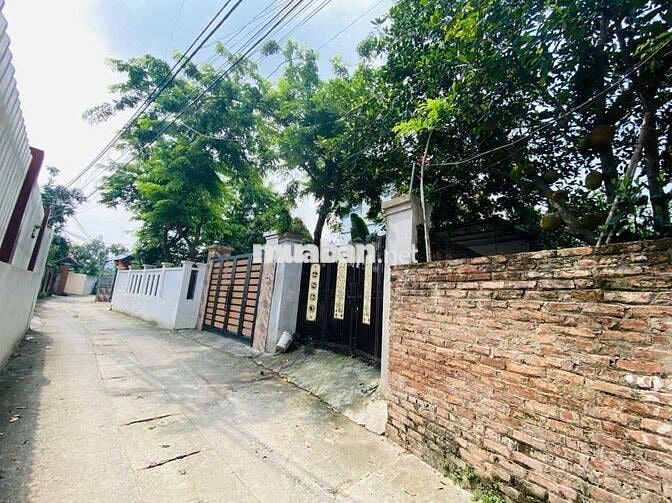 ✨️✨️Nhà 140m2 Hoàng Kim, Mê Linh - View toàn Biệt Thự - Ô Tô 🚘 đỗ Sân ✨️✨️Nhà 140m2 Hoàng Kim, Mê Linh - View toàn Biệt Thự - Ô Tô 🚘 đỗ Sân