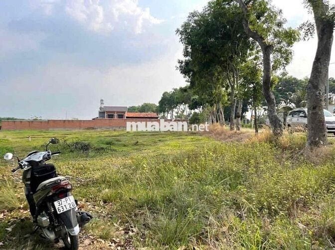 🏡 CHÍNH CHỦ GỬI BÁN ĐẤT ĐẸP – XÃ THÁI MỸ, CỦ CHI, TP.HCM 🏡