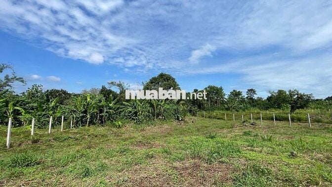 Đất ngộp giá siêu rẻ ven suối sẵn thổ cư gần KCN, sát SB LT chỉ 17km