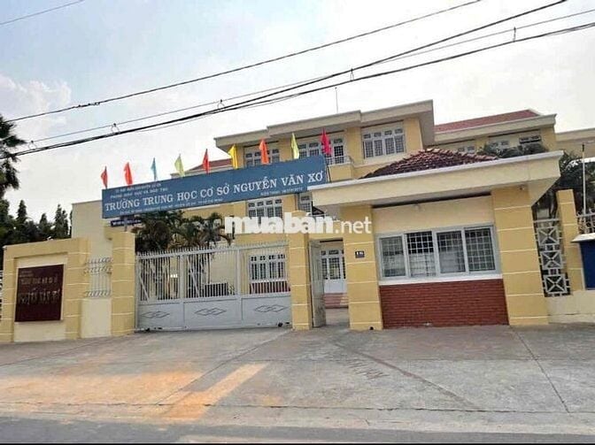 🏡 CHÍNH CHỦ GỬI BÁN ĐẤT ĐẸP – XÃ THÁI MỸ, CỦ CHI, TP.HCM 🏡